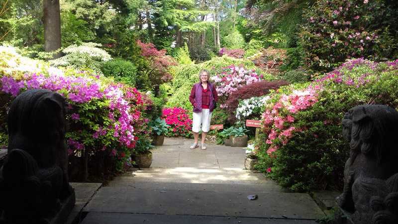 Compton Acers Japanies Garden