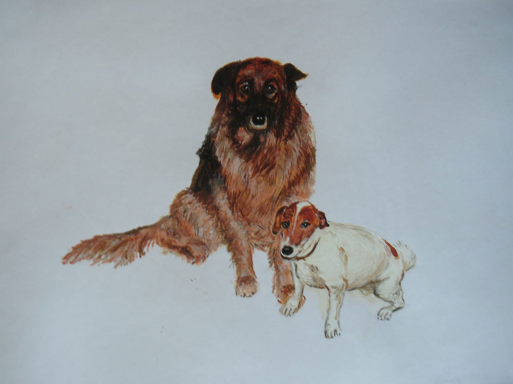 Dogs